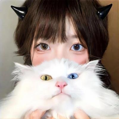 法与情
